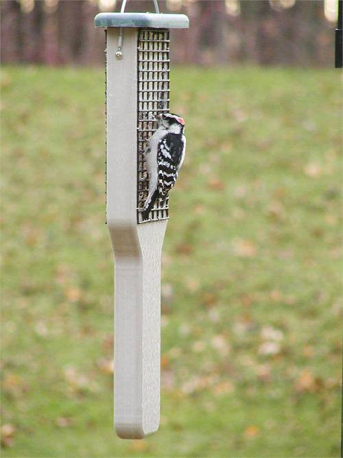 Birds Choice Recycled Double Cake Suet Feeder