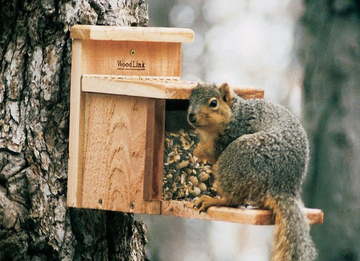 Woodlink Squirrel Feeder