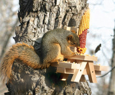 Woodlink Picnic Table Squirrel Feeder