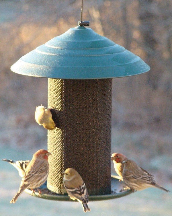 Woodlink Steel Magnum Thistle Bird Feeder