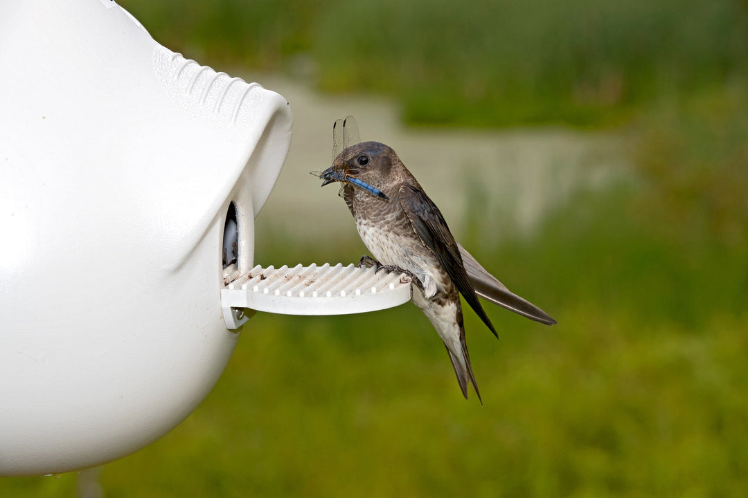 Heavy-Duty Bolt-on Porches for Crescent SuperGourds