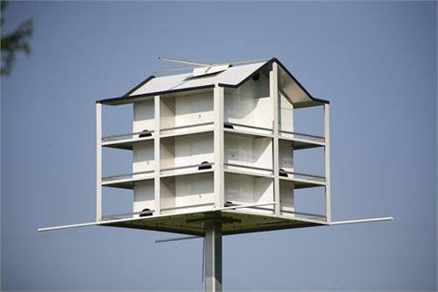 Hilltop Trendsetter 12 Room Martin House | Wild Bird Store Online
