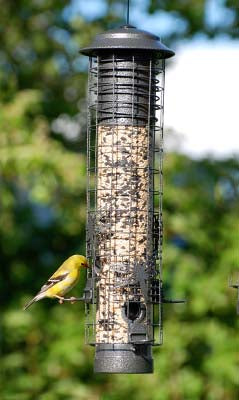 Dragonfly Squirrel-Resistant Tube Feeder