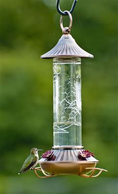 Woodlink Embossed Glass Hummingbird Feeder