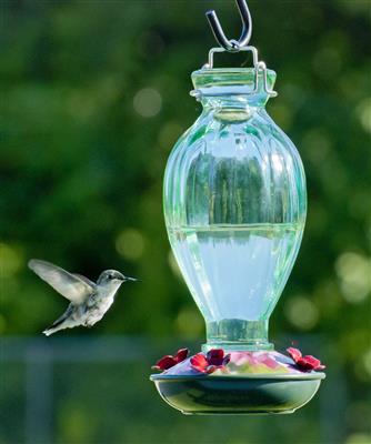 fluted glass hummingbird feeder