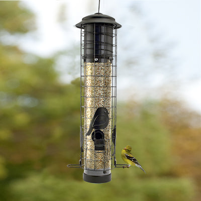 Chickadee Squirrel-Resistant Tube Feeder