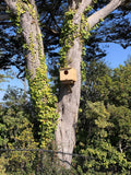 Coveside Barn Owl House