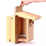 Cedar Ultimate Bluebird House