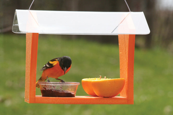 Birds Choice Green Solutions Oriole Feeder