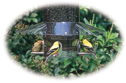 Birds Choice Classic Feeder Weatherguard