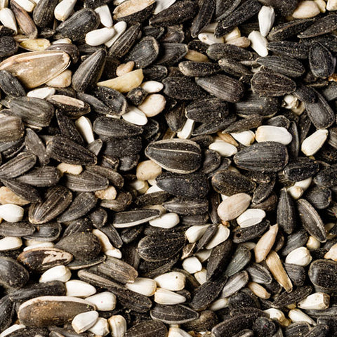 Bird seed online deals
