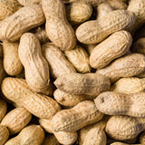 Peanuts in Shell