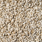 Safflower Seed