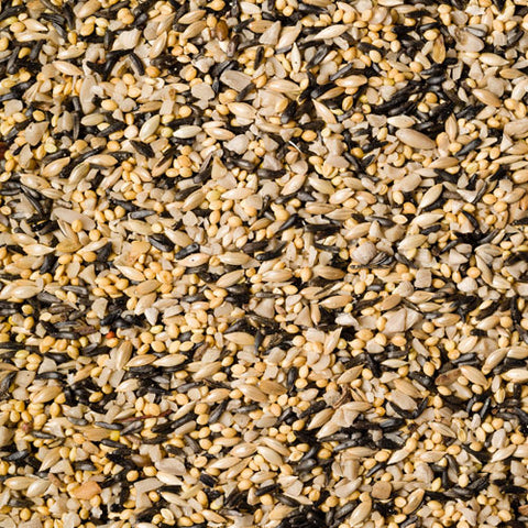 Backyard Finch Blend - Bird Seed