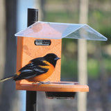 Birds Choice Recycled Pole Mount Oriole Feeder