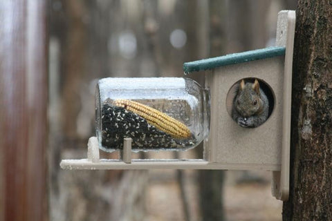 Birds Choice Recycled Squirrel Jar Feeder