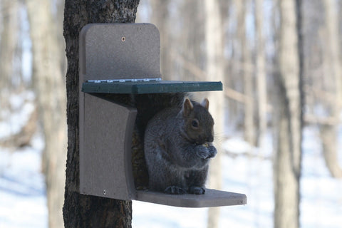 Birds Choice RECYCLED SQUIRREL MUNCH BOX