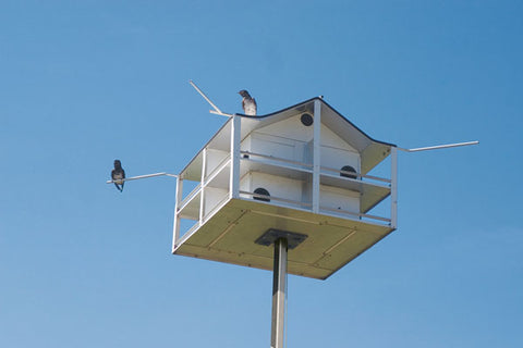 Trendsetter-Sunset Inn Corner Perches